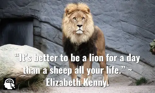 “It’s better to be a lion for a day than a sheep all your life.” ~ Elizabeth Kenny.