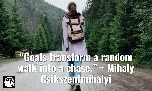 “Goals transform a random walk into a chase.” ~ Mihaly Csikszentmihalyi