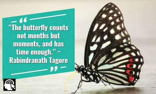 “The butterfly counts not months but moments, and has time enough.” ~ Rabindranath Tagore