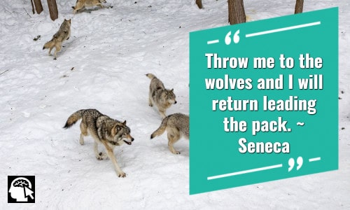 “Throw me to the wolves and I will return leading the pack.” ~ Seneca