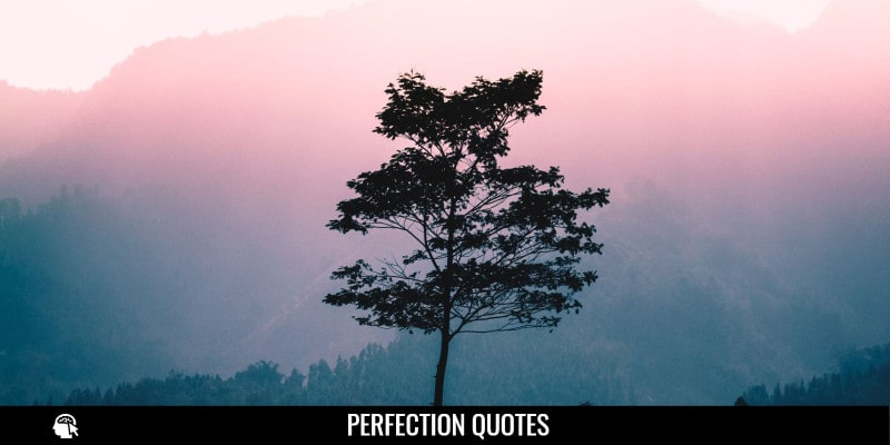 Best Perfection Quotes