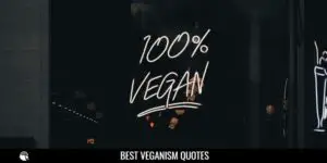 Veganism Quotes