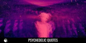 psychedelic quotes