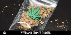 weed and stoner quotes