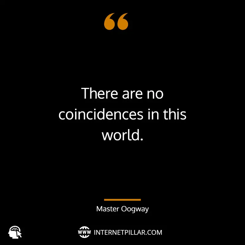 There are no coincidences in this world. ~ Master Oogway.