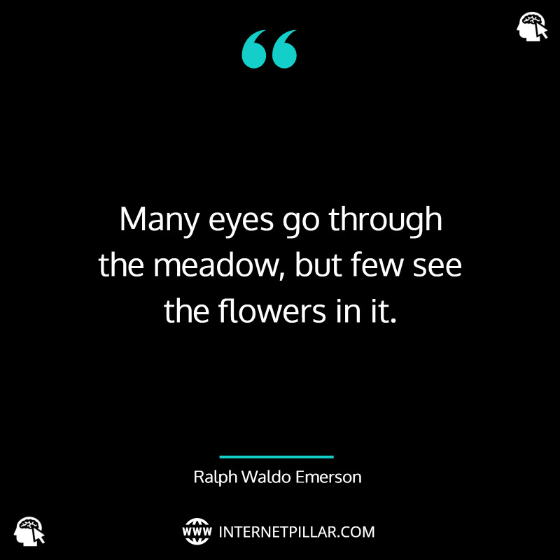 quotes-on-eyes