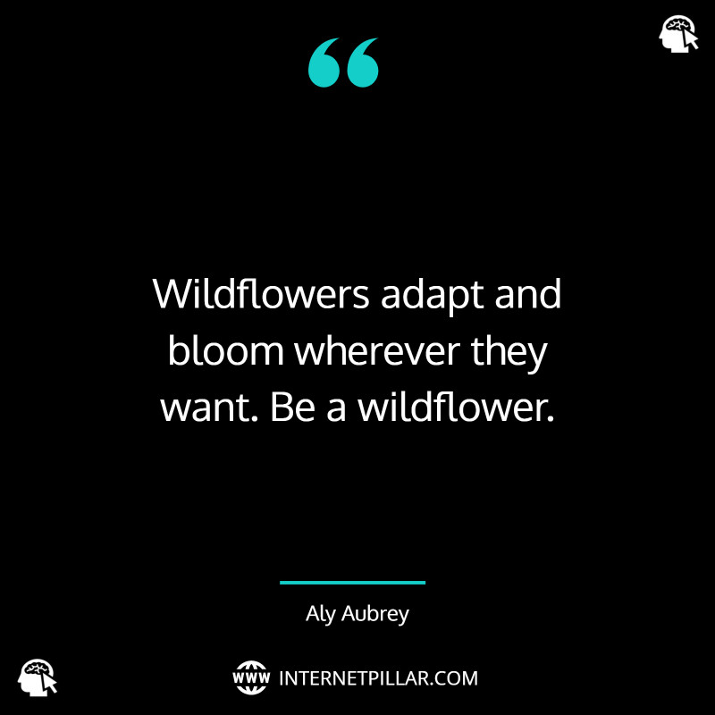 best-wildflower-quotes