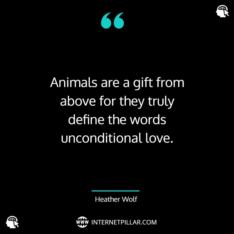 quotes-about-animal-lover