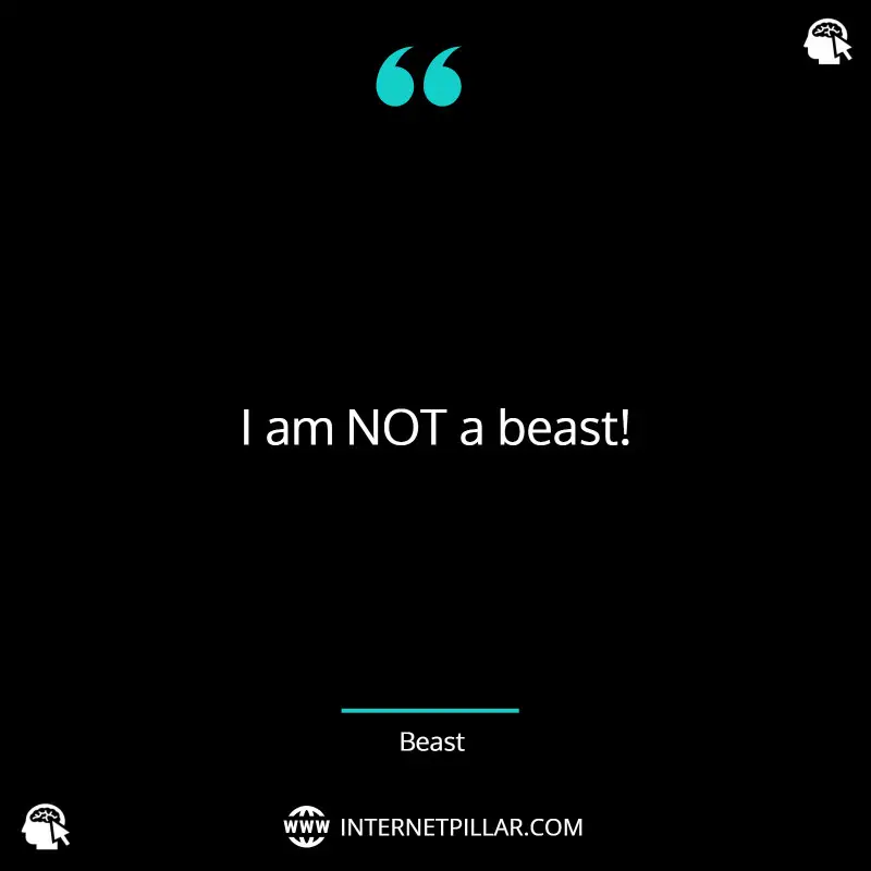 quotes-about-beauty-and-the-beast