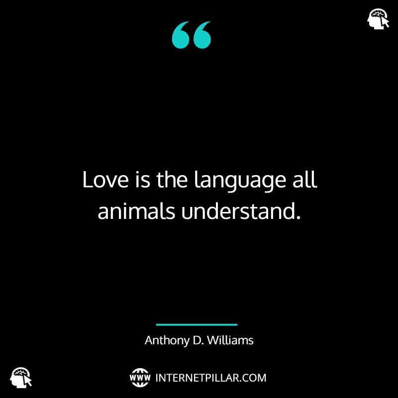 quotes-about-love-language