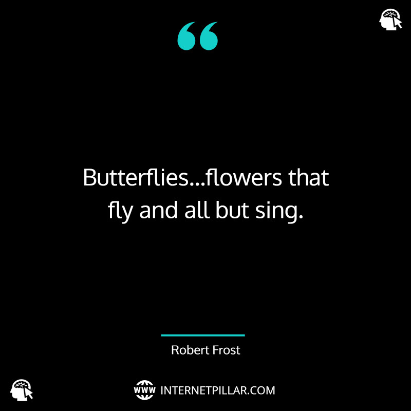 top-butterfly-quotes
