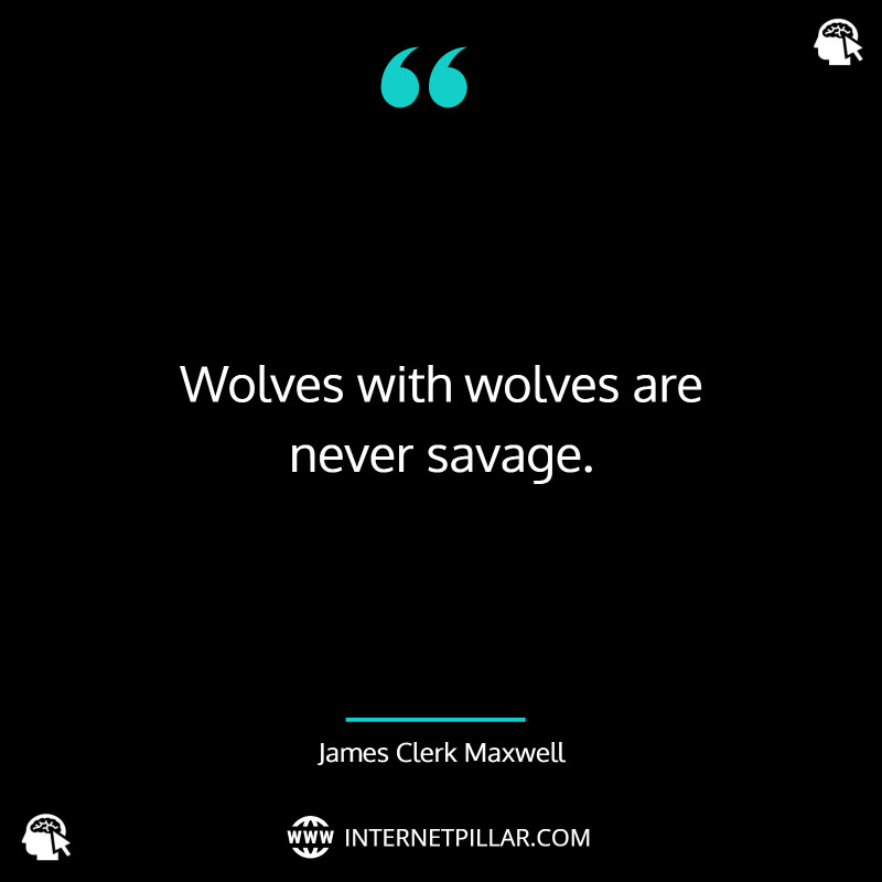 top-wolves-quotes