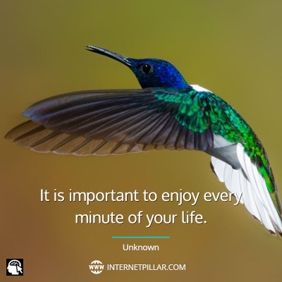 best-hummingbird-quotes