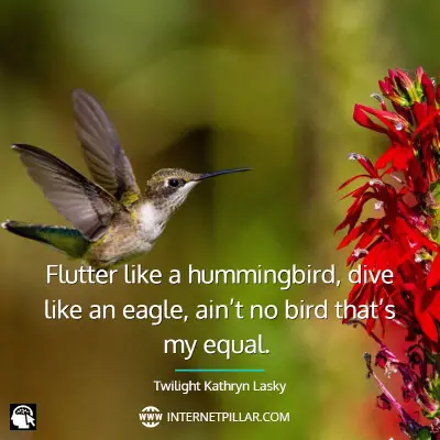 deep-hummingbird-quotes
