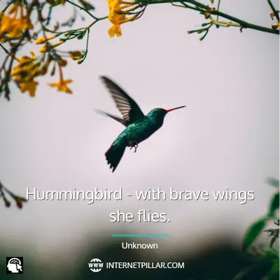 famous-hummingbird-quotes