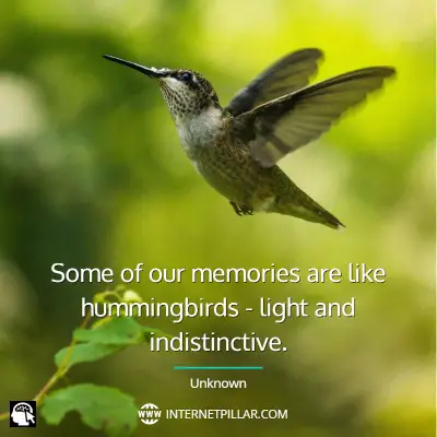 great-hummingbird-quotes