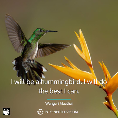 hummingbird-quotes