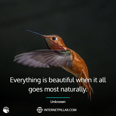 powerful-hummingbird-quotes