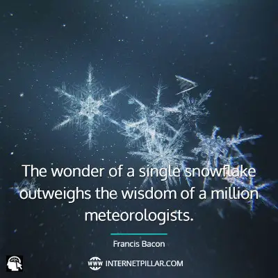 snowflake-quotes