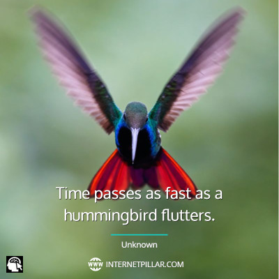 top-hummingbird-quotes