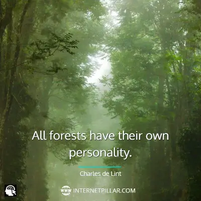 amazing-forest-quotes