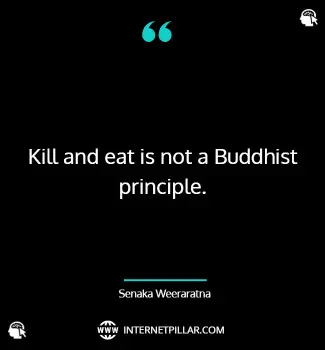 best-buddhist-quotes-on-animals