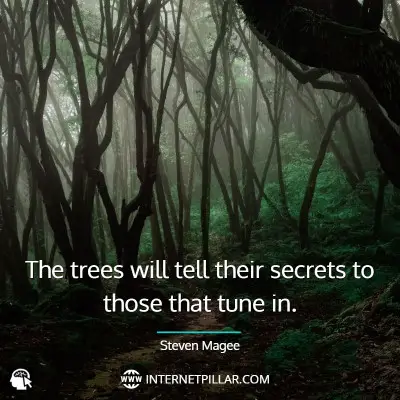 best-forest-quotes