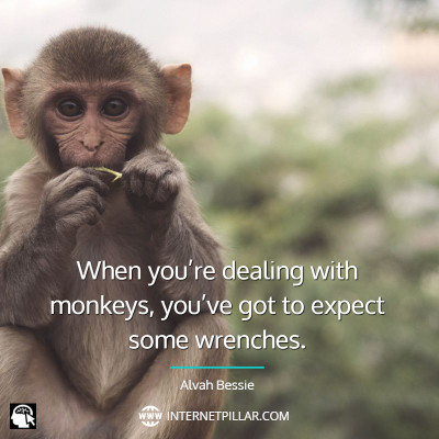 best-monkey-quotes