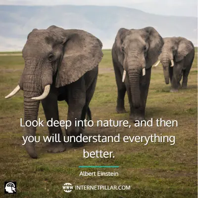 best-save-wildlife-quotes