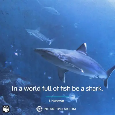 best-shark-quotes