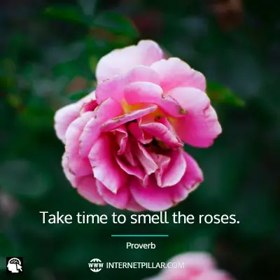 best-smell-the-roses-quotes