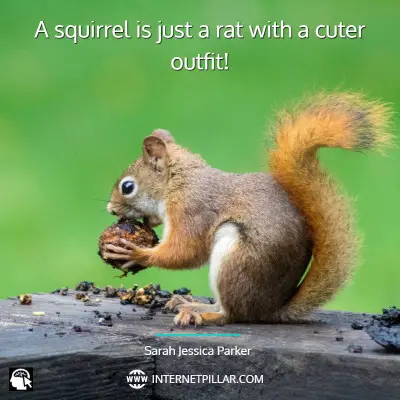 best-squirrel-quotes