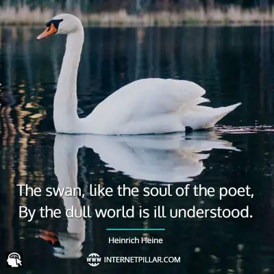 best-swan-quotes