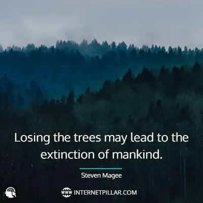 best-tree-quotes