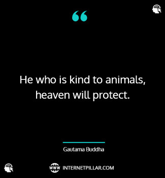 buddhist-quotes-on-animals