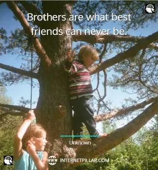 famous-best-quotes-about-brothers