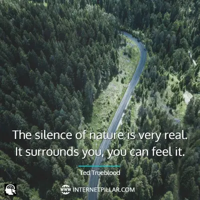 famous-forest-quotes