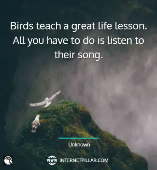 famous-inspiring-quotes-about-birds