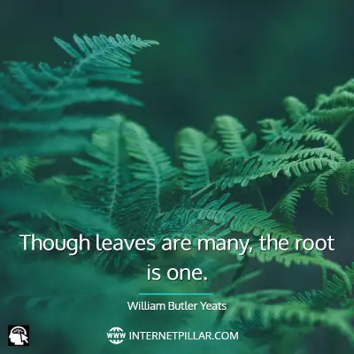 famous-leaf-quotes