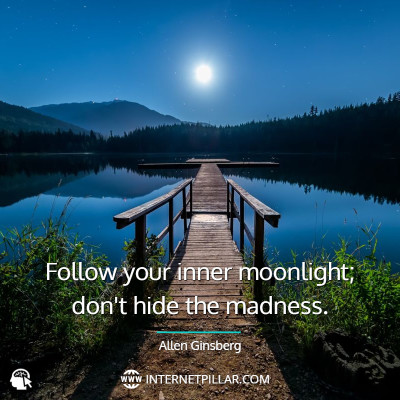famous-moonlight-quotes