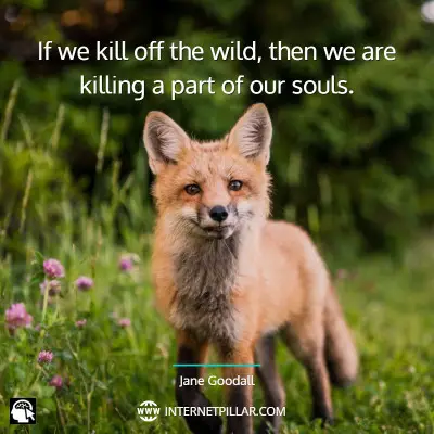 famous-save-wildlife-quotes