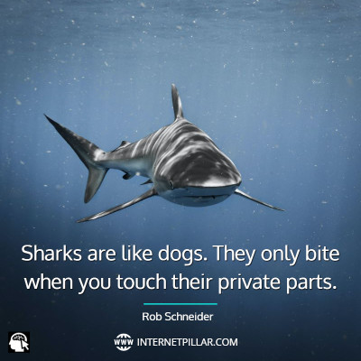 famous-shark-quotes