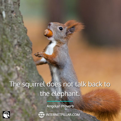 famous-squirrel-quotes