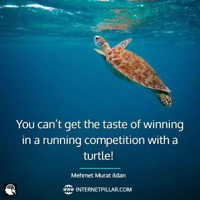 famous-turtle-quotes