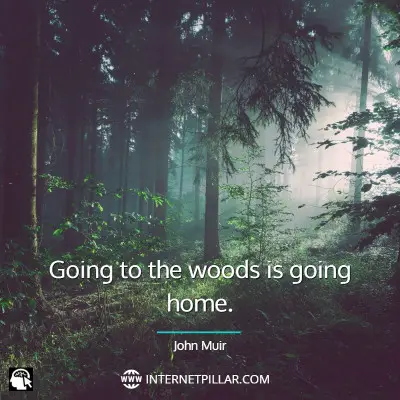 forest-quotes