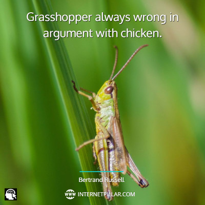 grasshopper-quotes