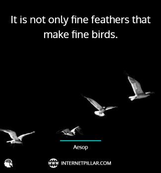 inspirational-quotes-about-birds