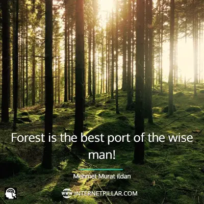 inspiring-forest-quotes