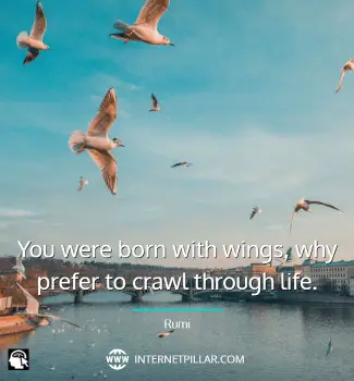 inspiring-quotes-about-birds