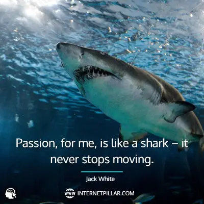 inspiring-shark-quotes